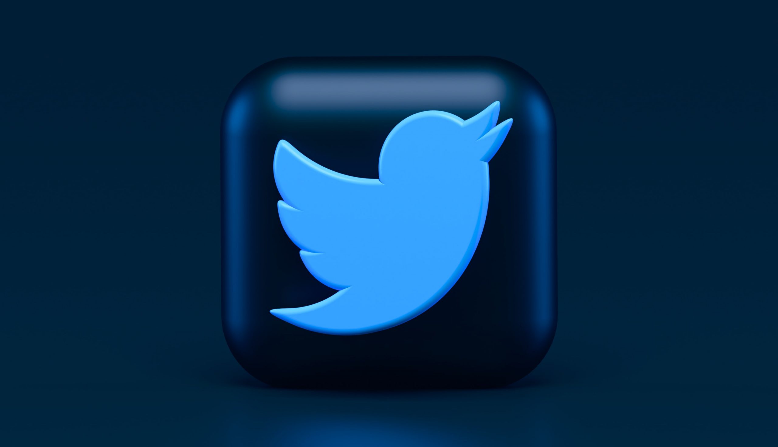 Pay for Twitter Blue?  The social network confirms its imminent subscription