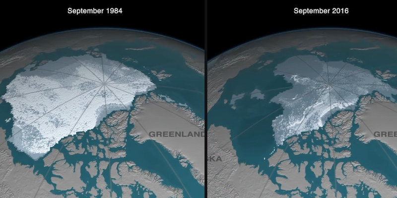 Climate change, in Google's doodle